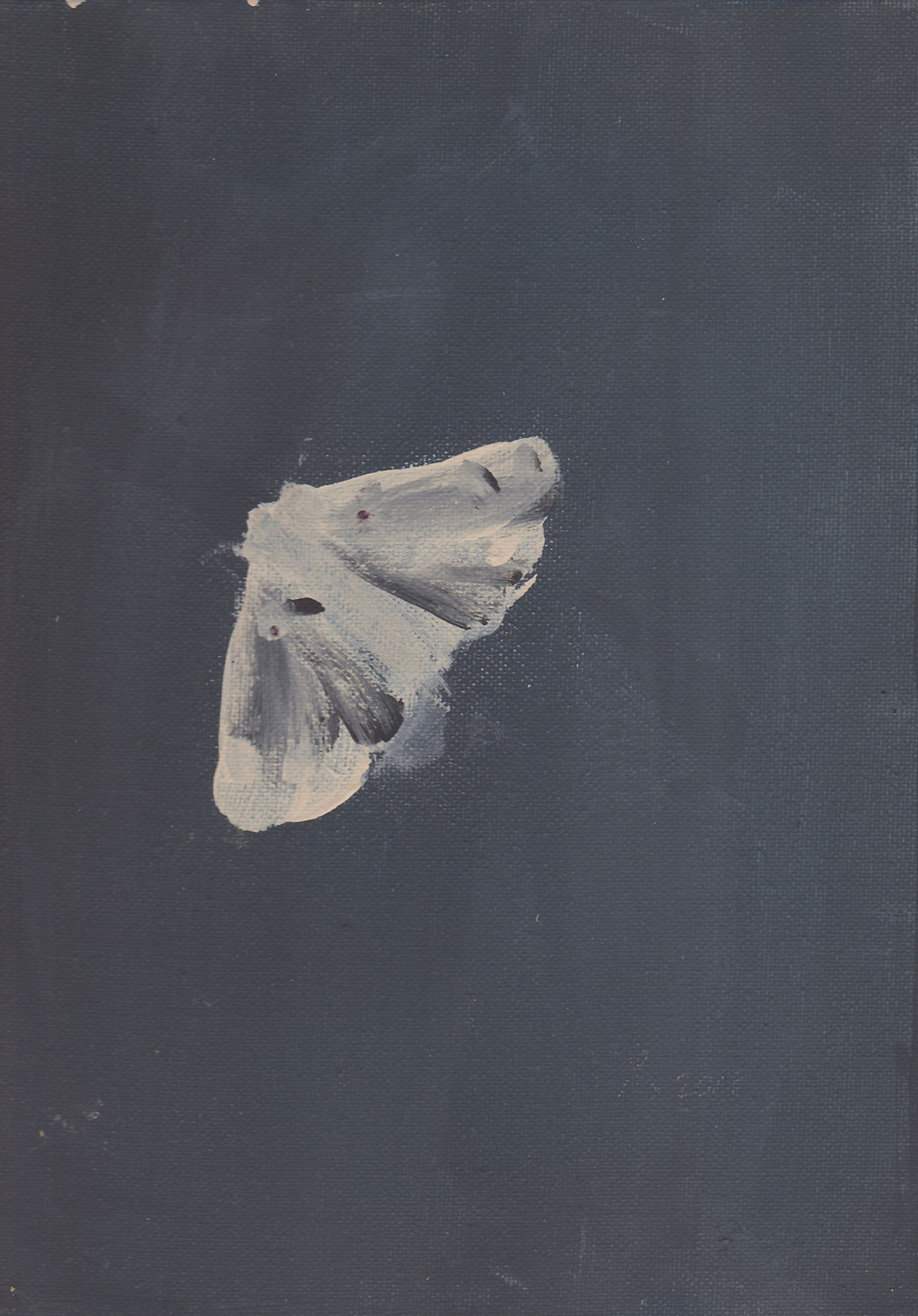 Falter I (2018), Acryl auf Leinwand, 30×24 cm Falter I (2018)